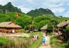 tour mai chau tet